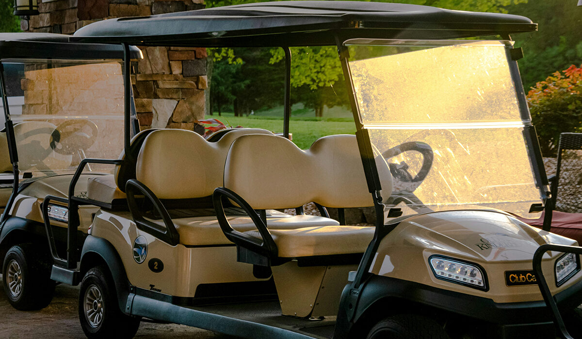 Six person golf cart