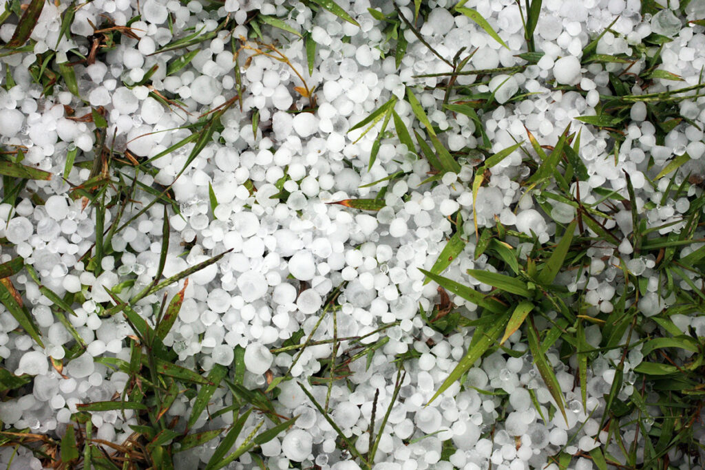 Aspera offers wind and hail coverage