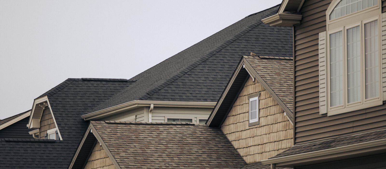 Suburban roofs