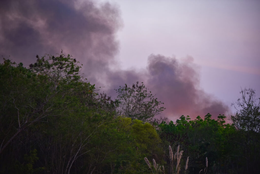 Out of the Frying Pan, Into the Wildfire